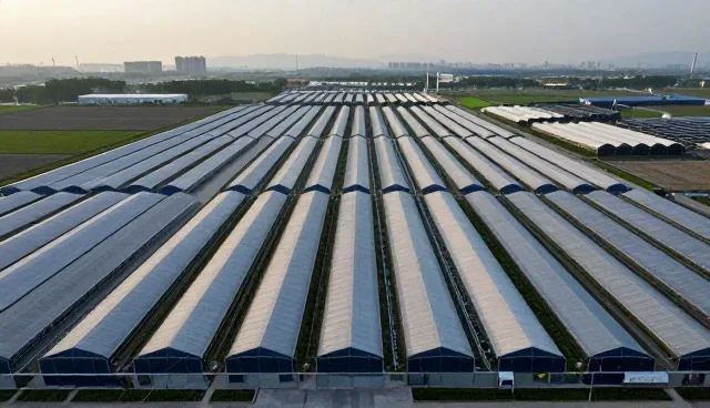 商务服务策划选型中的关键使用与维护要点解析